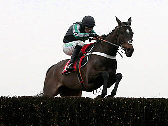 The Cheltenham Show | Day 2
